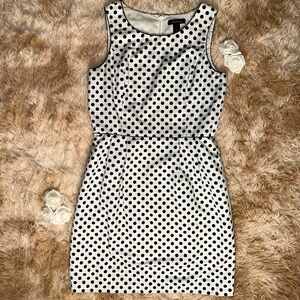 White House Black Market polka dot business casual midi dress